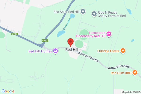 Red Hill Primary After School Care Program