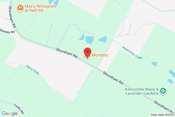 Montalto Vineyard & Olive Grove