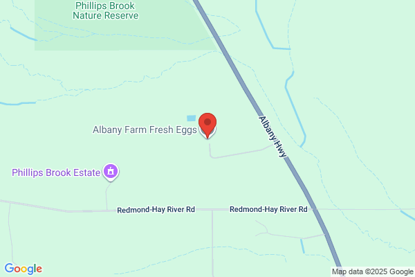 Albany Farm Fresh Eggs