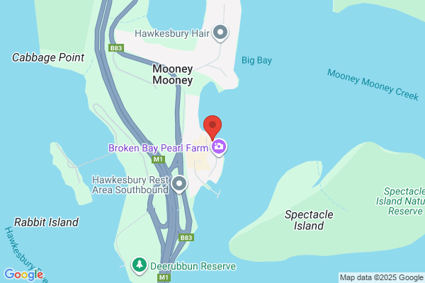Bellingen River Oysters
