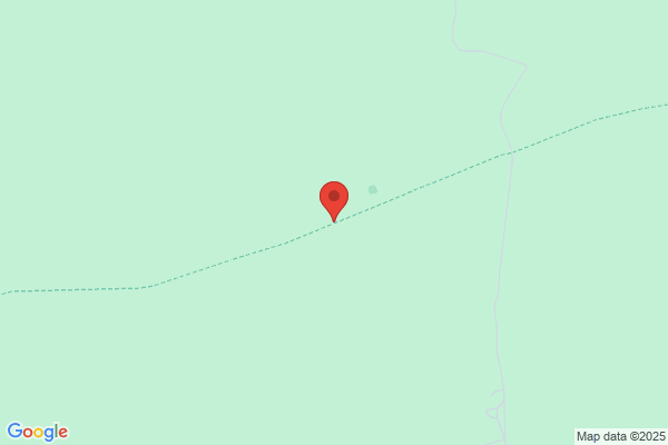Desma Pacitto Design