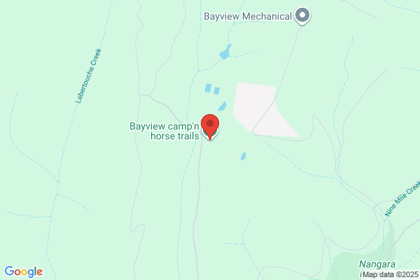 Bayview Park Trail Horse Rides
