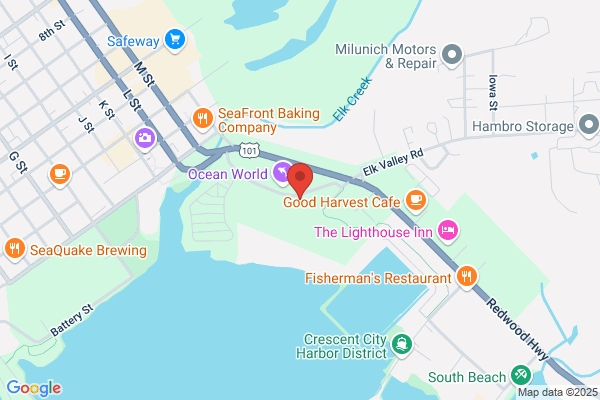 Burns Bay Ceramic Art Studio