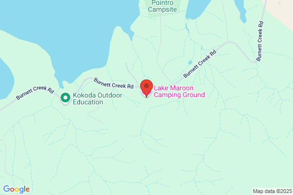 Camp Lake Fire