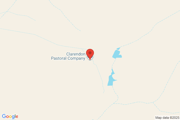 Coolringdon Pastoral Co