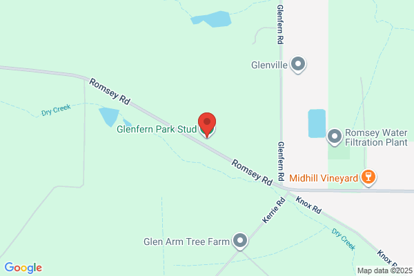 Glenfern Park Stud