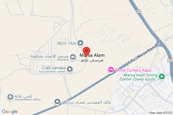 A. Alam, Dr Elie & Associates