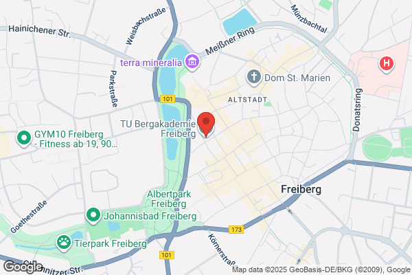 Freiberg David B