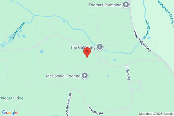 Advanced Tree & Stump Removal