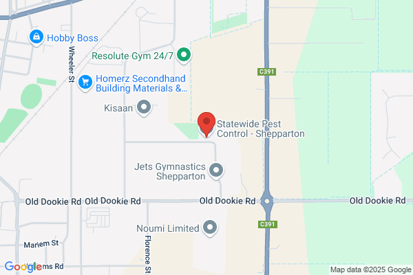 Jacks Pest Control & Termites