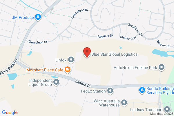 Blue Star Logistics