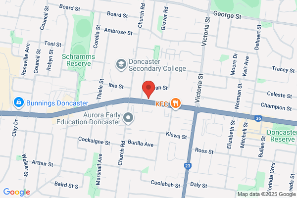 Explore Chiropractic