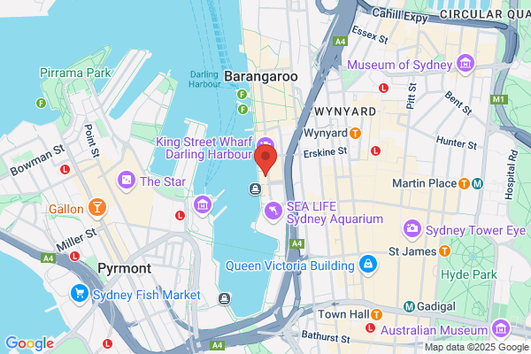 Magistic Christmas Party Cruises on Sydney Harbour
