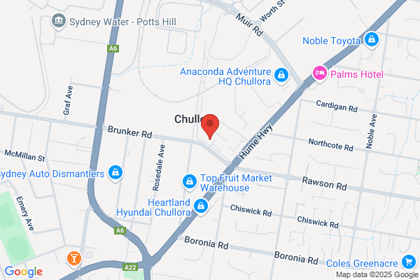 Jiu Jitsu Sydney Tour