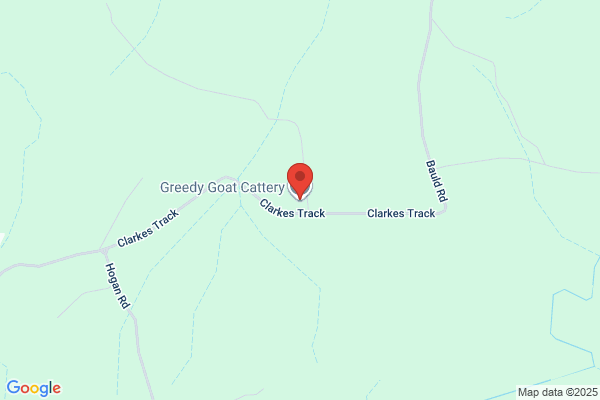 Granvale Cattery