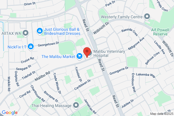Airey Dental Family Practice