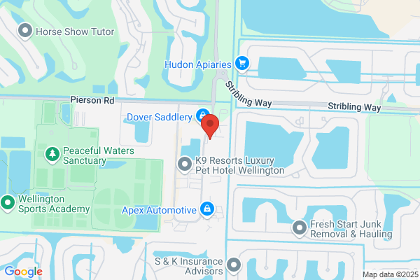 C W D Automotive