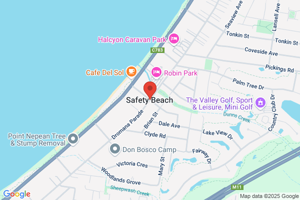 Davison Peter W N