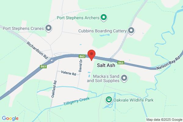 Busy Bees at Salt Ash