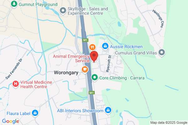 Adam M JEFFREY,Mudgeeraba Animal Hospital