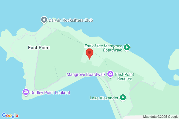 Darwin Model Flying Club
