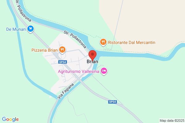 Brianese, Elvio