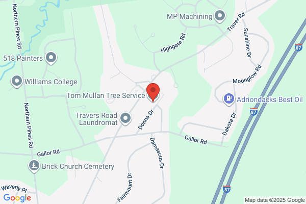 Kevin Mumford Tree and Timber Services