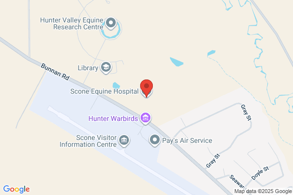 Scone Veterinary Hospital