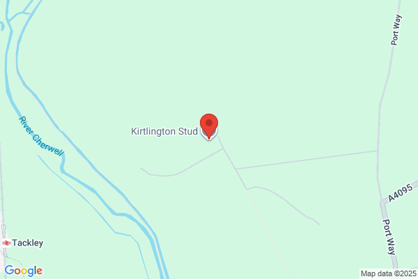 Kintor Stud