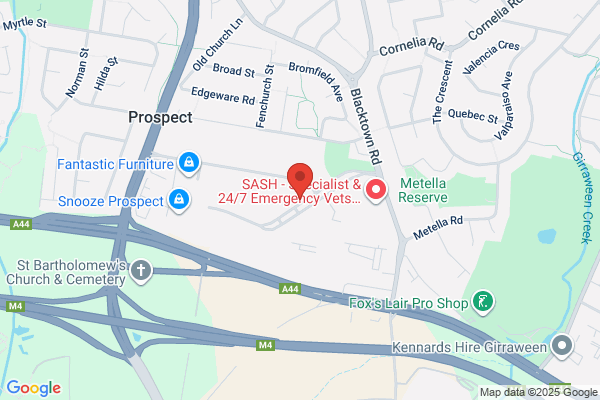 Click Print - Blacktown