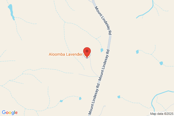 Aloomba Lavender