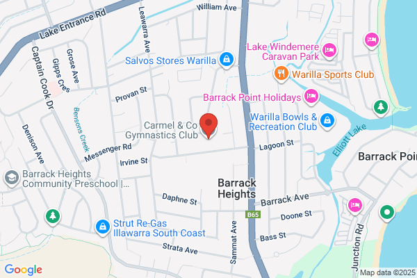 Carmel & Co Gymnastics Shellharbour