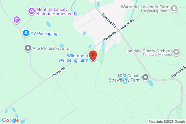 Wild Patch Retreat
