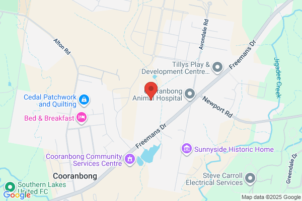 Bamborough D M