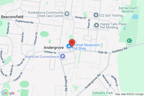 Domino's Pizza Andergrove