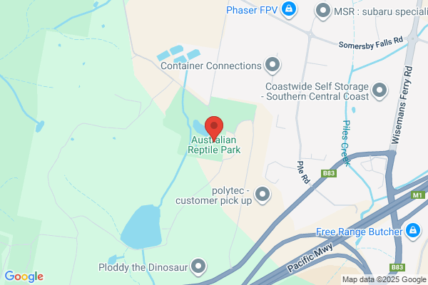 Australian Reptile Park