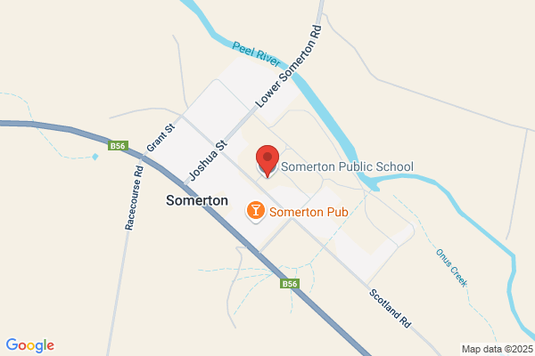 Somerton Public School