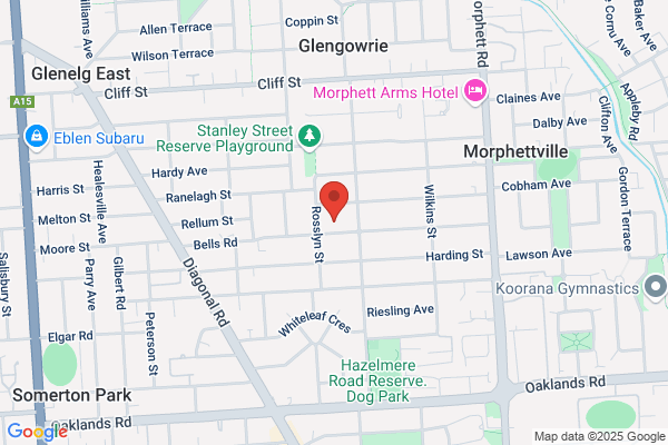 Australian Professional Electrical Services