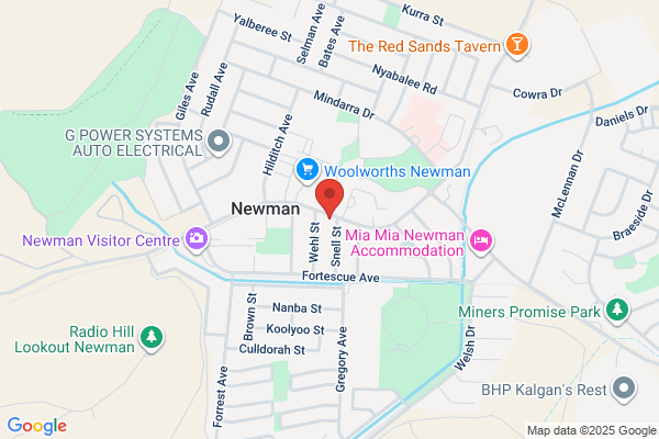 ITP Accounting Professionals Newman