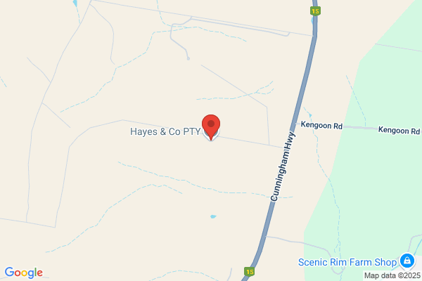 Hayes Investments (Australia) Pty Ltd