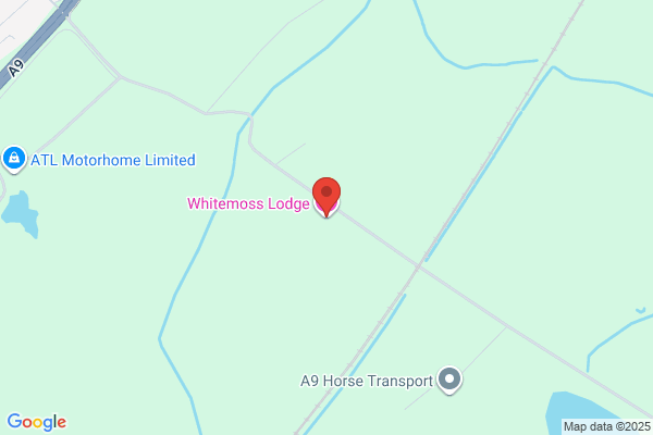 Whitemoss