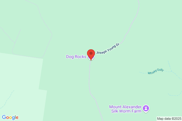 Dog Rock Design