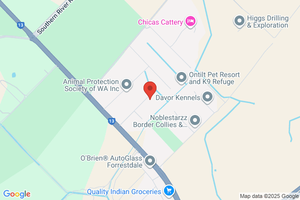 Felix's Kennel's & Cattery
