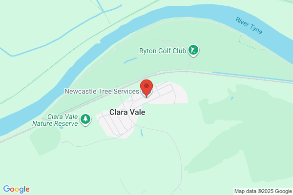 Newcastle Tree Care