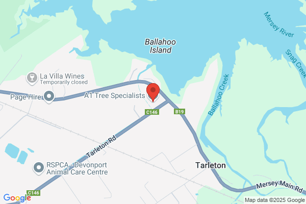 A1 Tree Specialists