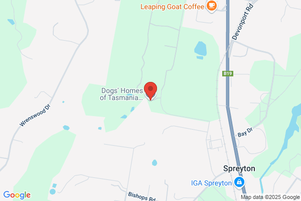 Dogs' Homes Of Tasmania