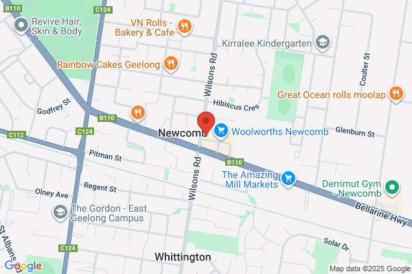 Domino's Pizza Newcomb