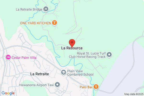 French Language Translation NAATI Level 3