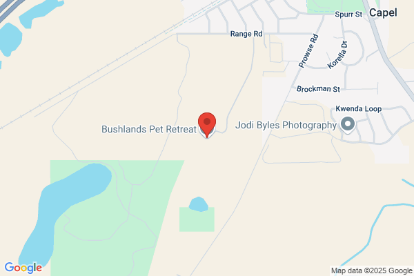 Bushlands Pet Resort