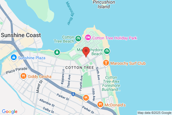BWS Cotton Tree